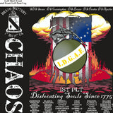 PLATOON SHIRTS (2nd generation print) BRAVO 1st 19th CHAOS MAY 2017