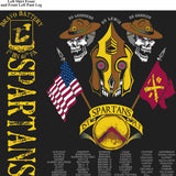 PLATOON SHIRTS (digital) BRAVO 1st 40th SPARTANS JAN 2016