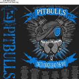 PLATOON SHIRTS (2nd generation print) DELTA 1st 40th PITBULLS MAR 2016
