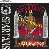 Platoon Shirts (2nd generation print) ECHO 1st 31st SPARTANS DEC 2020