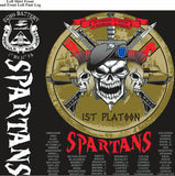 PLATOON SHIRTS (2nd generation print) ECHO 1st 31st SPARTANS NOV 2016