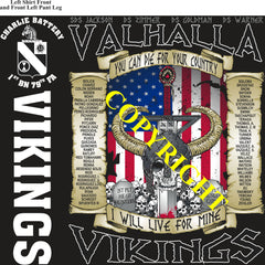 Platoon Items (direct-to-garment print) CHARLIE 1st 79th VIKINGS 4th PLATOON SEPT 2024