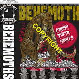 Platoon Items (direct-to-garment print) ECHO 1st 22nd BEHEMOTHS 2nd PLATOON DEC 2025 PRE-ORDER GRADUATING 12-5-2025