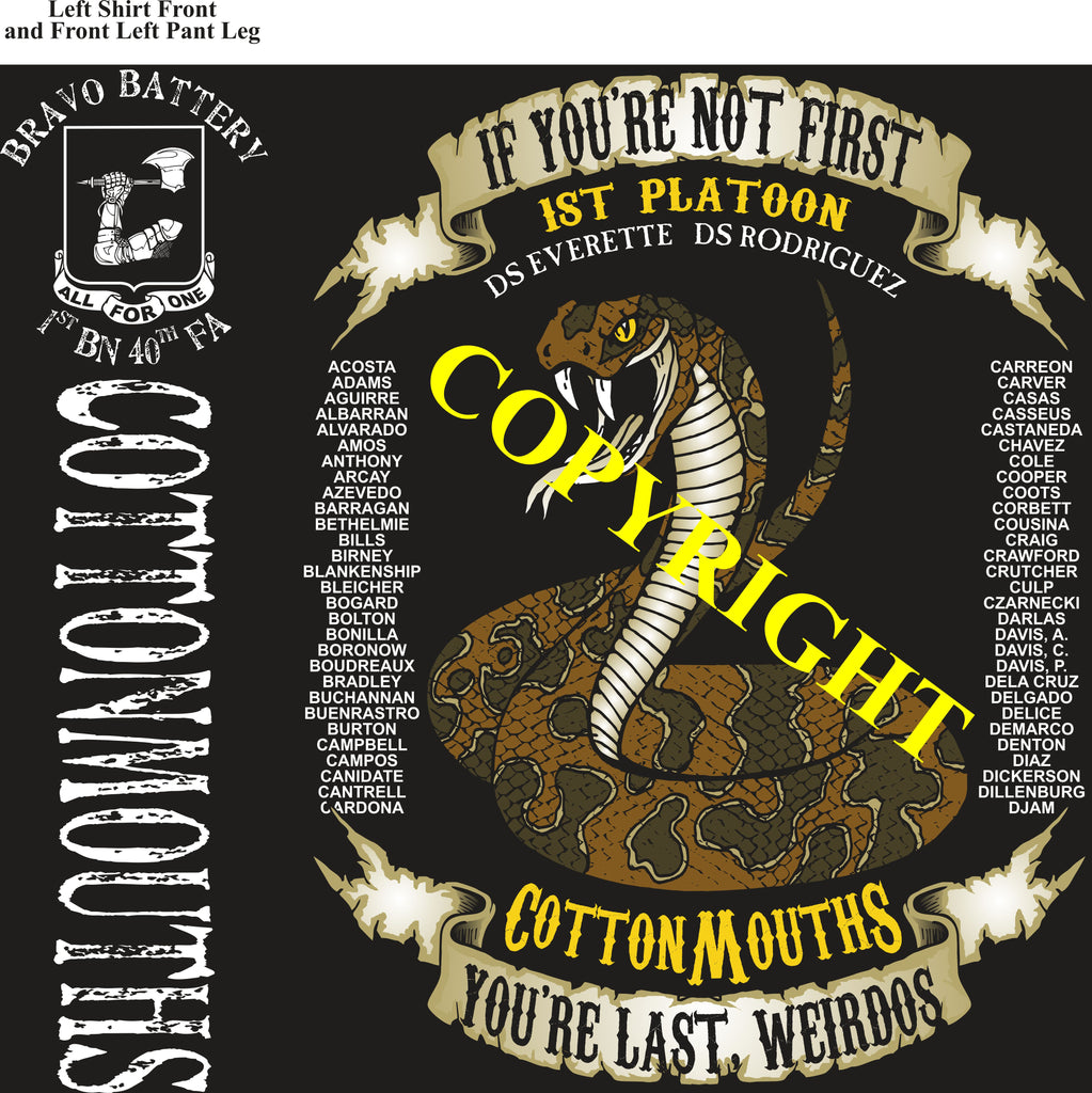 Platoon Shirts (2nd generation print) BRAVO 1st 40th COTTONMOUTHS AUG 2019