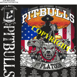 Platoon Shirts (2nd generation print) DELTA 1st 40th PITBULLS JUNE 2021