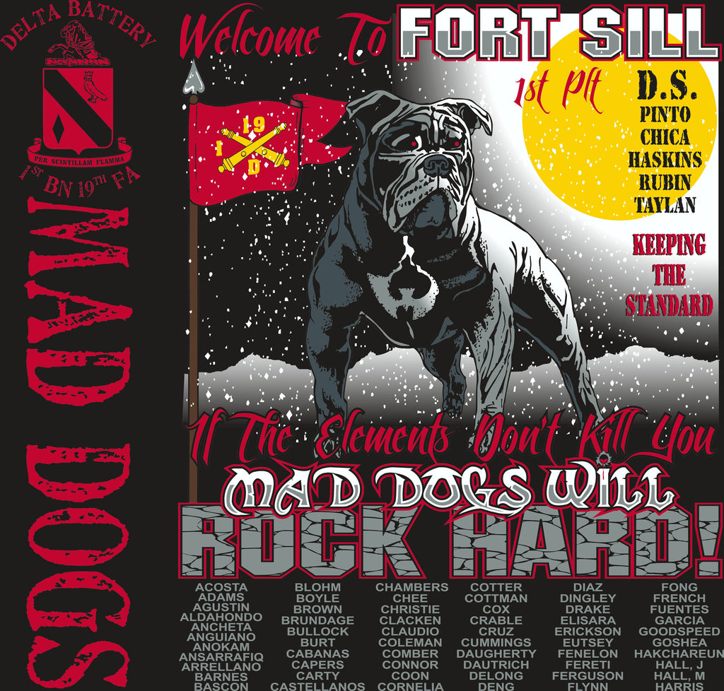 Platoon Shirts DELTA 1st 19th MADDOGS APR 2015